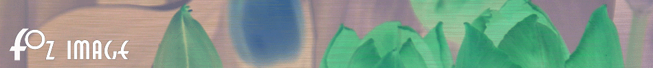 Fozimage � Masthead - Tulips